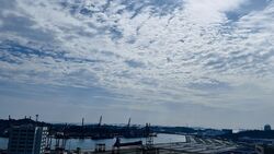 One Bernam (D2), Apartment #499238881